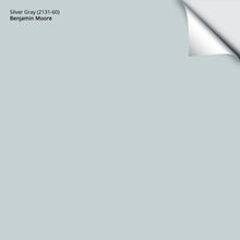Load image into Gallery viewer, Silver Gray (2131-60): 9&quot;x14.75&quot;
