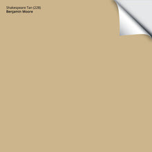 Load image into Gallery viewer, Shakespeare Tan (228): 9&quot;x14.75&quot;
