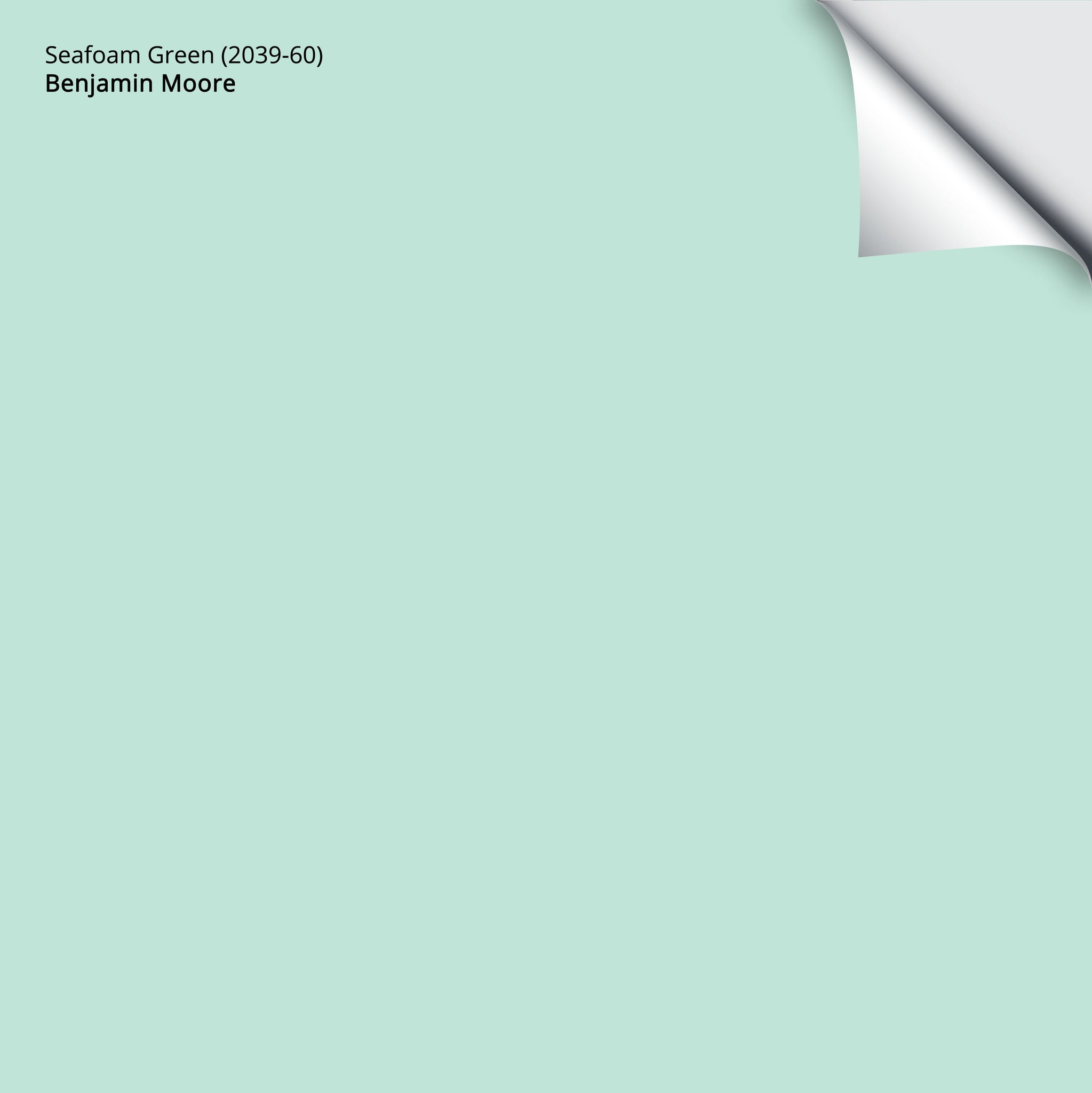 Fatigue Green (2140-10): 9x14.75 – Benjamin Moore x Samplize