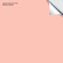 Load image into Gallery viewer, Salmon Peach (2013-50): 9&quot;x14.75&quot;
