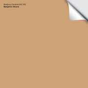 Roxbury Caramel (HC-42): 9"x14.75"