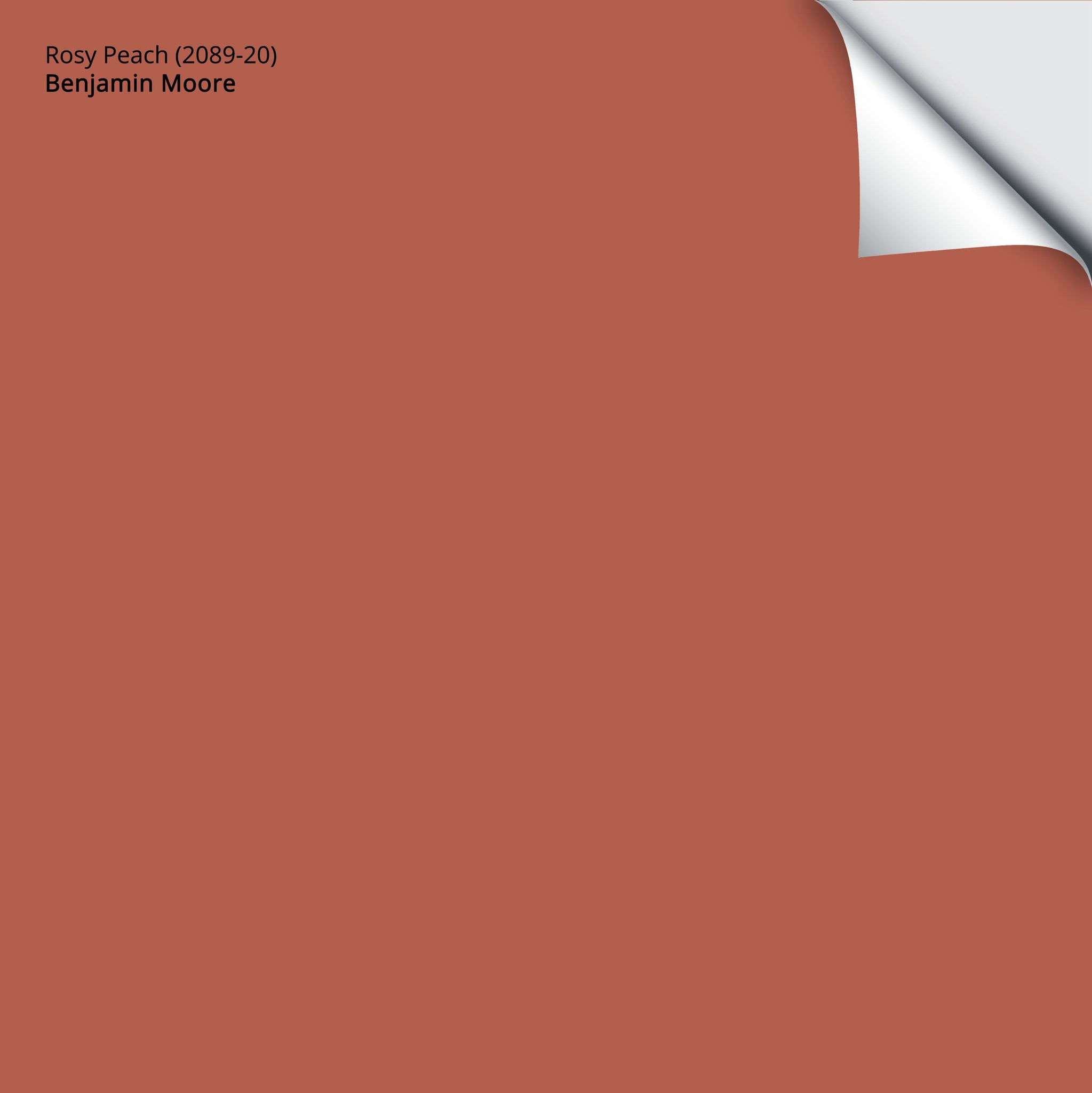 2089-20 Rosy Peach