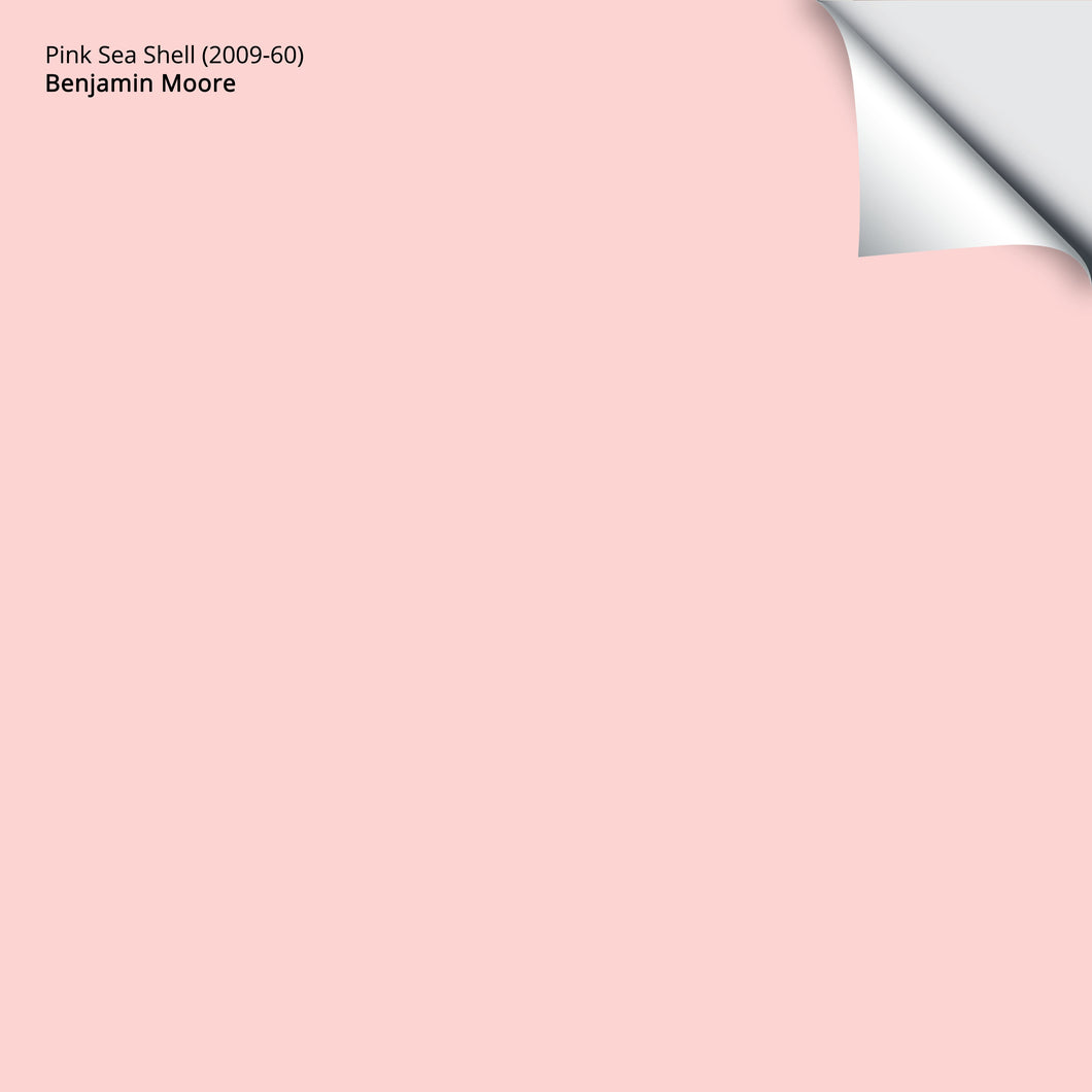 Pink Sea Shell (2009-60): 9