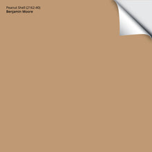 Load image into Gallery viewer, Peanut Shell (2162-40): 9&quot;x14.75&quot;
