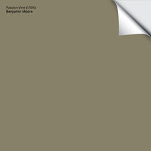 Load image into Gallery viewer, Passion Vine (1504): 9&quot;x14.75&quot;
