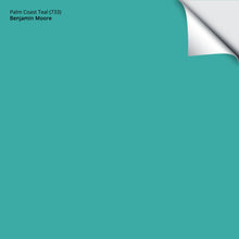 Load image into Gallery viewer, Palm Coast Teal (733): 9&quot;x14.75&quot;
