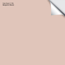 Load image into Gallery viewer, Pale Petal (1178): 9&quot;x14.75&quot;
