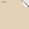 Pale Almond (951): 9"x14.75"