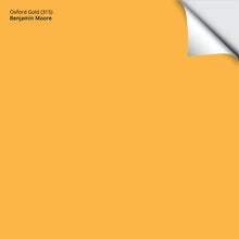Load image into Gallery viewer, Oxford Gold (315): 9&quot;x14.75&quot;
