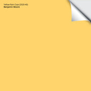 Yellow Rain Coat (2020-40): 9"x14.75"