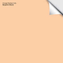 Load image into Gallery viewer, Orange Sherbet (122): 9&quot;x14.75&quot;
