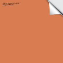 Load image into Gallery viewer, Orange Blossom (2168-30): 9&quot;x14.75&quot;

