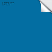 Load image into Gallery viewer, Ol&#39; Blue Eyes (2064-30): 9&quot;x14.75&quot;
