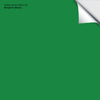 Yellow Green (2033-10): 9"x14.75"