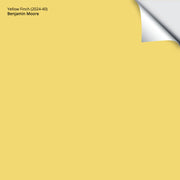 Yellow Finch (2024-40): 9"x14.75"