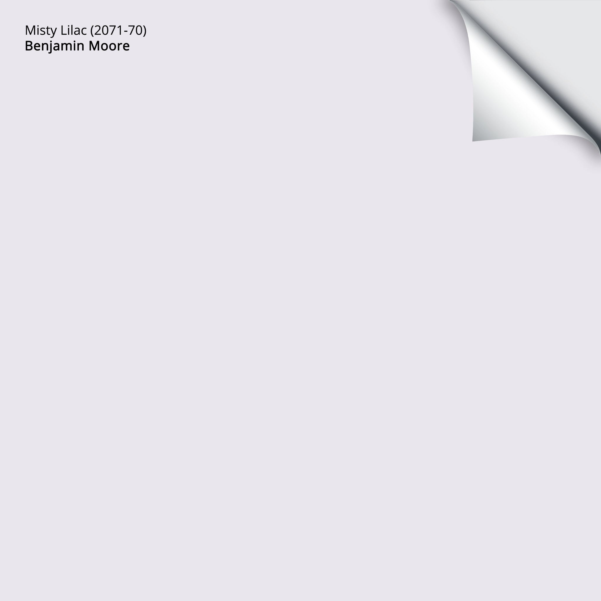Misty Lilac (2071-70): 9x14.75 – Benjamin Moore x Samplize