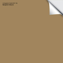 Load image into Gallery viewer, Livingston Gold (HC-16): 9&quot;x14.75&quot;
