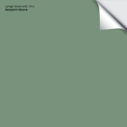 Lehigh Green (HC-131): 9"x14.75"