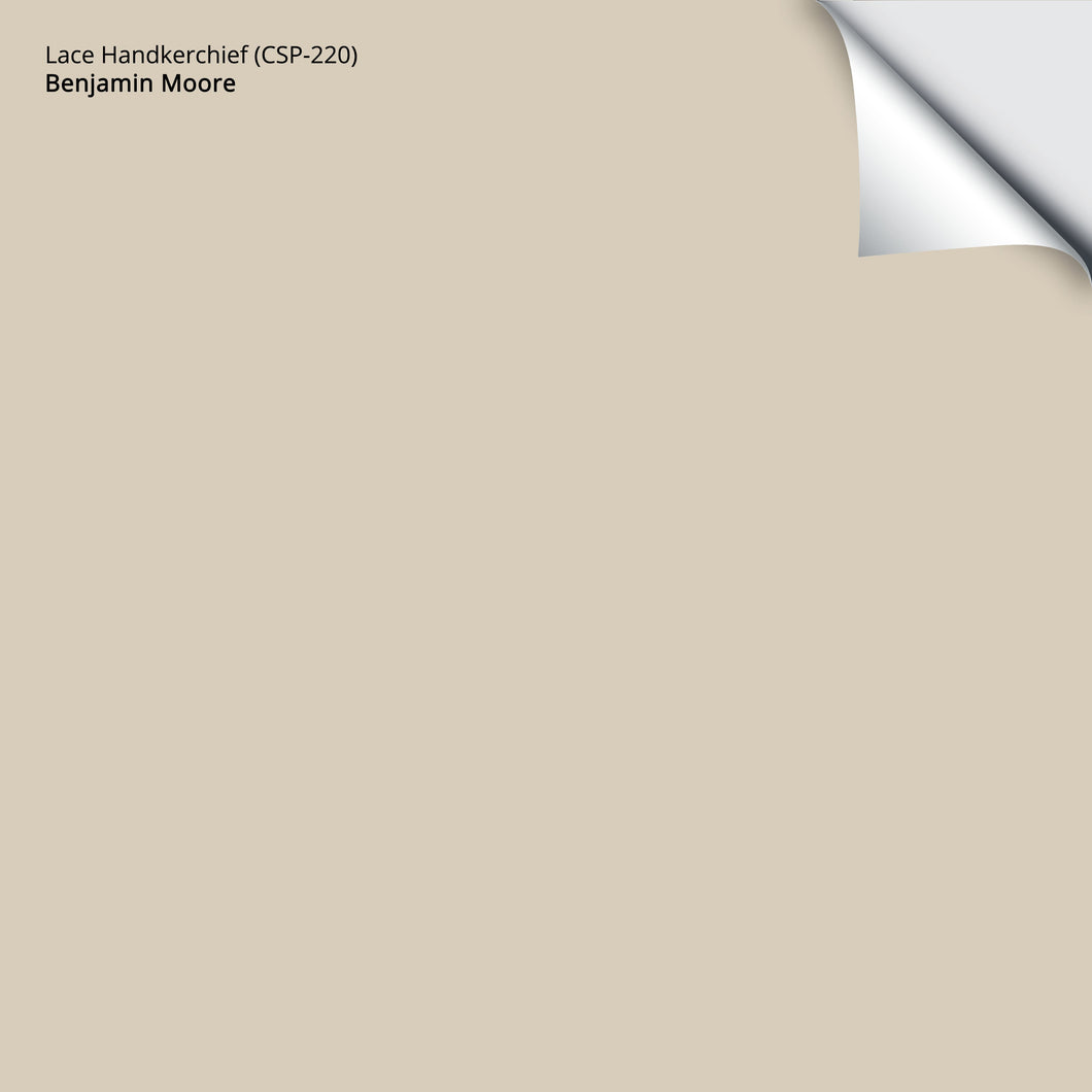 Lace Handkerchief (CSP-220): 9
