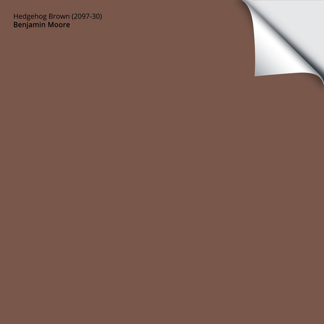 Hedgehog Brown (2097-30): 9