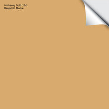 Load image into Gallery viewer, Hathaway Gold (194): 9&quot;x14.75&quot;
