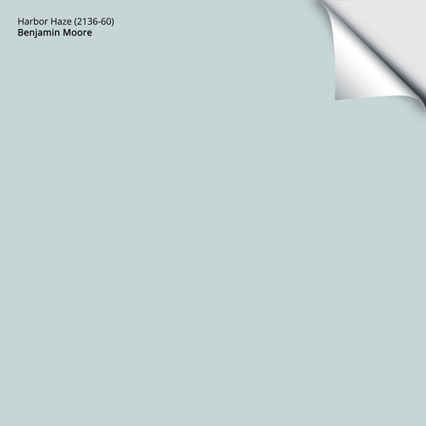 正規品 3340_Harbor_20Haze_20_2136- サーフィン・ボディボード