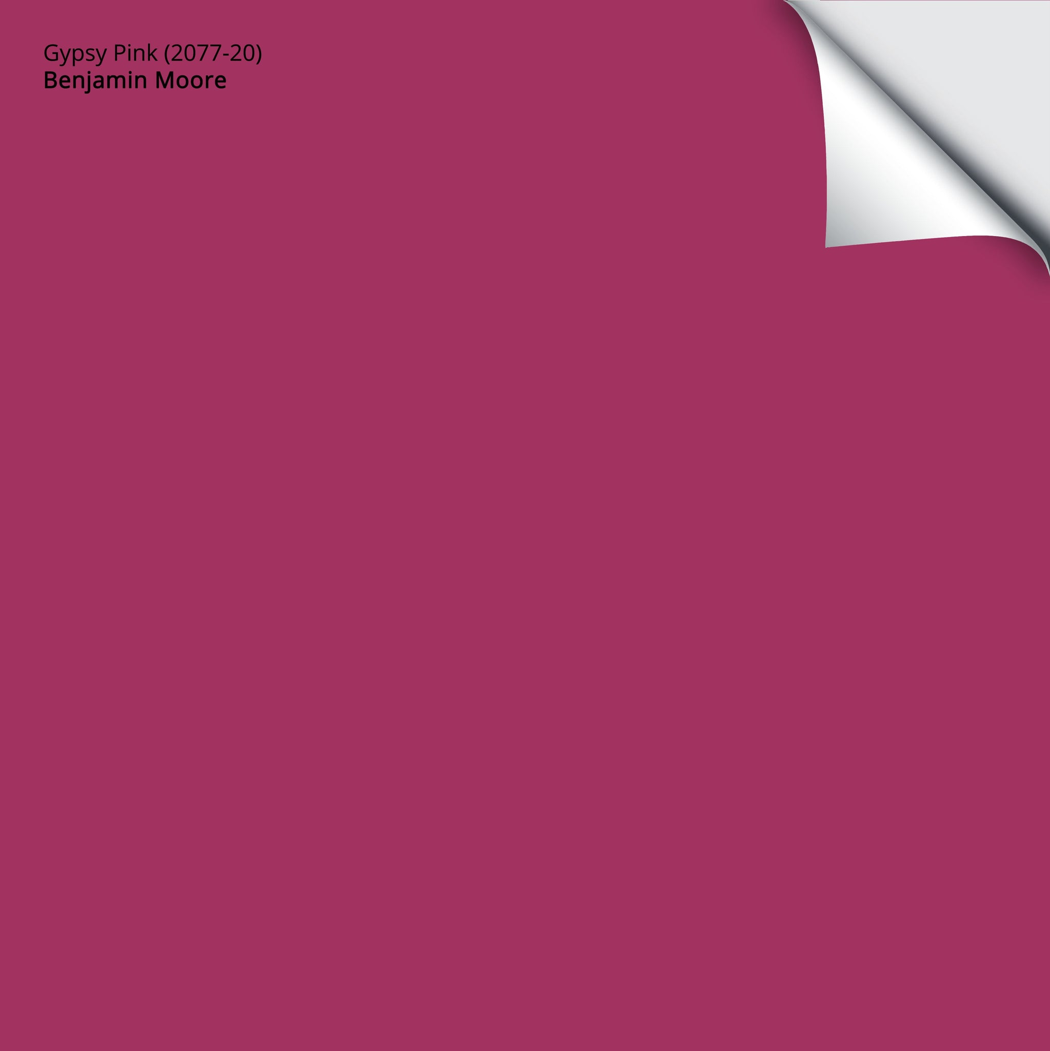 Gypsy Pink (2077-20): 9