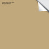 Golden Divan (CSP-1005): 9"x14.75"