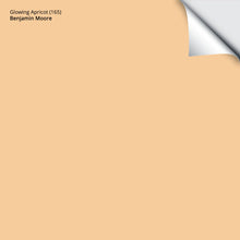 Load image into Gallery viewer, Glowing Apricot (165): 9&quot;x14.75&quot;
