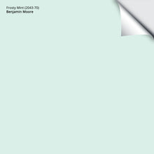 Load image into Gallery viewer, Frosty Mint (2043-70): 9&quot;x14.75&quot;
