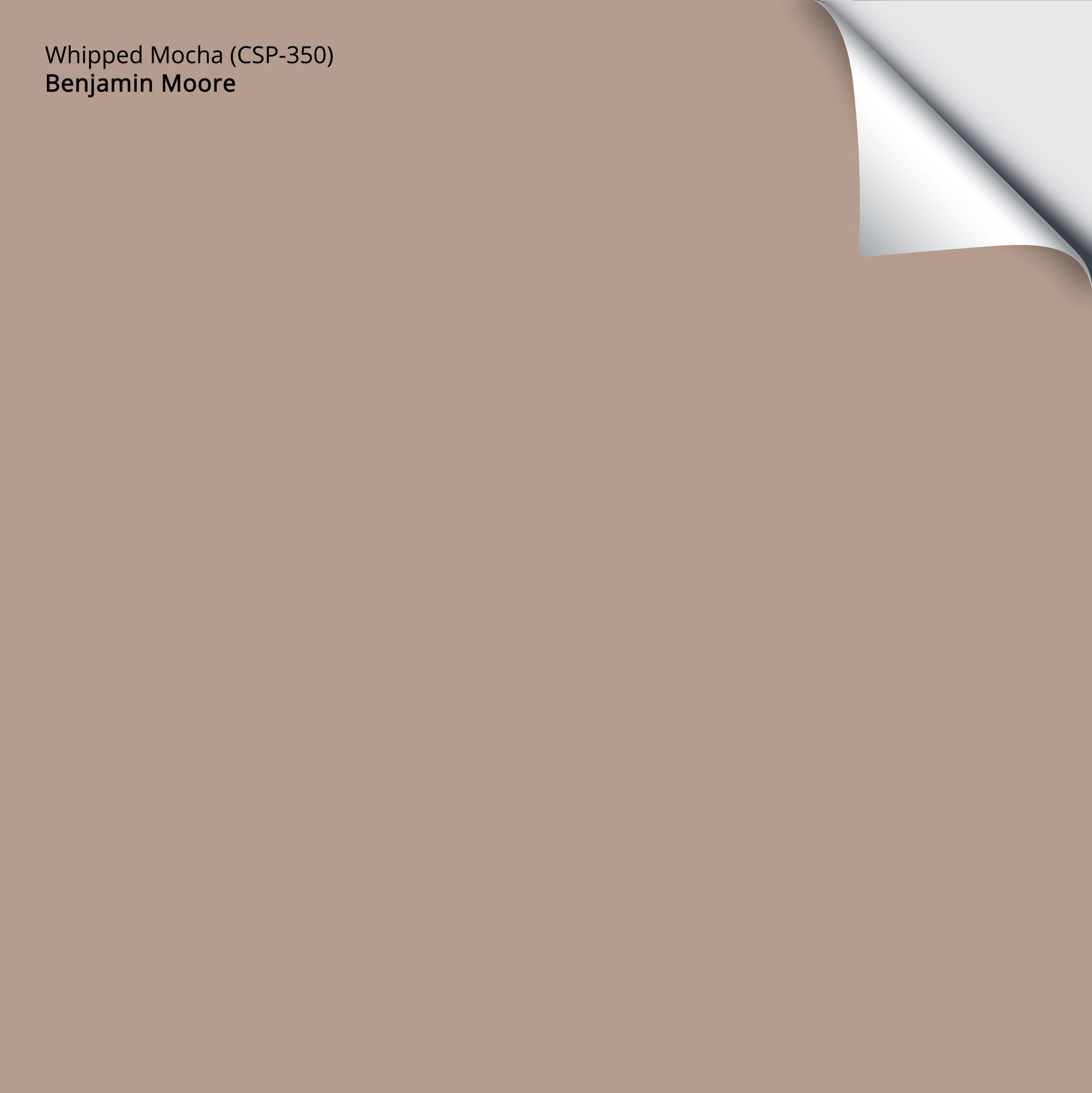 382_Whipped_20Mocha_20_CSP-