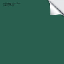 Load image into Gallery viewer, Fiddlehead Green (2041-20): 9&quot;x14.75&quot;
