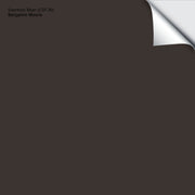 Espresso Bean (CSP-30): 9"x14.75"