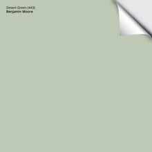Load image into Gallery viewer, Desert Green (443): 9&quot;x14.75&quot;
