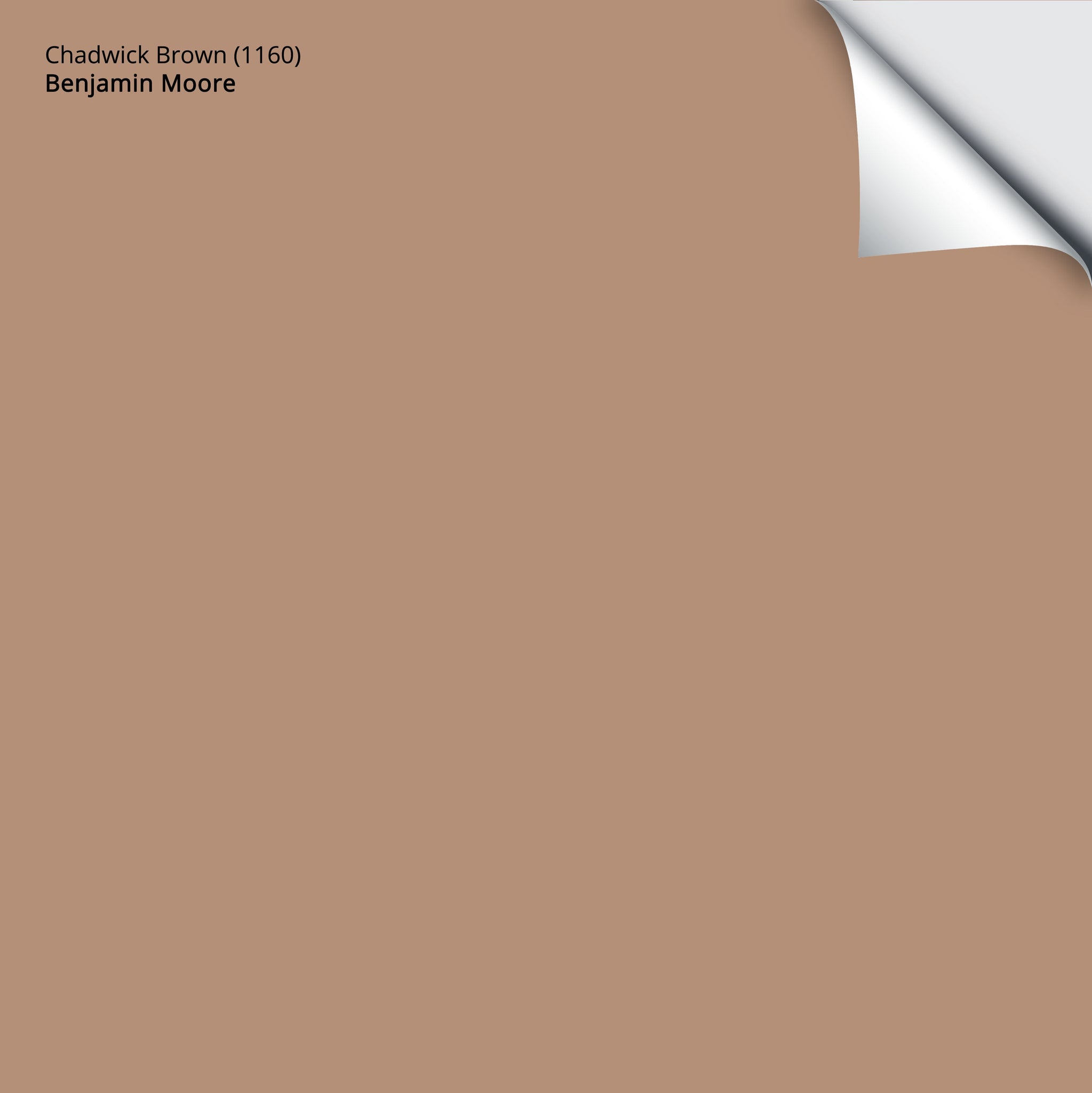 1160 Chadwick Brown - Paint Color