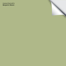 Load image into Gallery viewer, Central Park (431): 9&quot;x14.75&quot;
