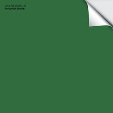 Load image into Gallery viewer, Cat&#39;s Eye (2036-10): 9&quot;x14.75&quot;
