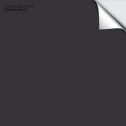 Carbon Copy (2117-10): 9"x14.75"