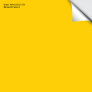 Bright Yellow (2022-30): 9"x14.75"