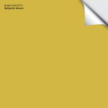 Load image into Gallery viewer, Bright Gold (371): 9&quot;x14.75&quot;

