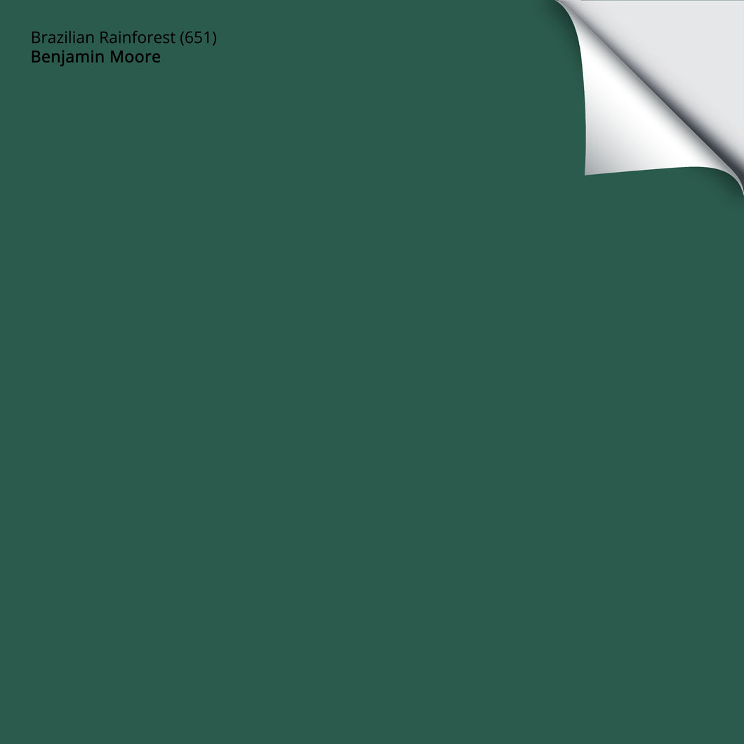 Brazilian Rainforest (651): 9