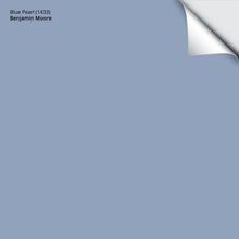 Load image into Gallery viewer, Blue Pearl (1433): 9&quot;x14.75&quot;
