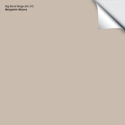 Big Bend Beige (AC-37): 9"x14.75"