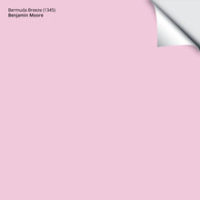 Load image into Gallery viewer, Bermuda Breeze (1345): 9&quot;x14.75&quot;
