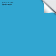 Load image into Gallery viewer, Bayberry Blue (790): 9&quot;x14.75&quot;
