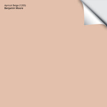 Load image into Gallery viewer, Apricot Beige (1205): 9&quot;x14.75&quot;
