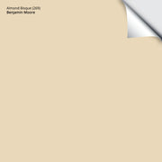 Almond Bisque (269): 9"x14.75"