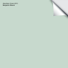 Load image into Gallery viewer, Aberdeen Green (631): 9&quot;x14.75&quot;
