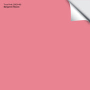 True Pink (2003-40): 9"x14.75"