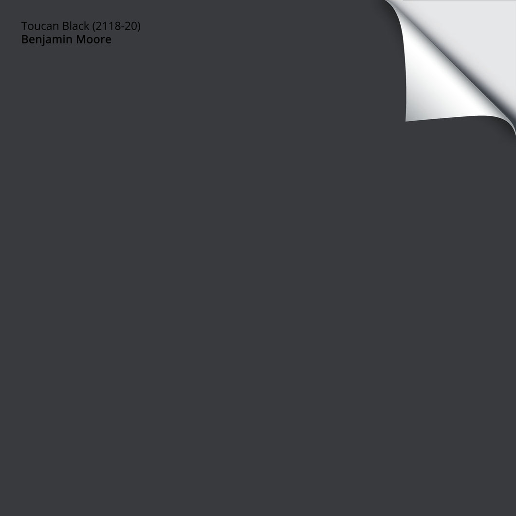 Toucan Black (2118-20): 9
